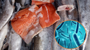 Minsal emite alerta alimentaria por presencia de bacteria en salmón de reconocida marca 