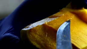 Ya se detectan 42 focos: Crece la preocupación por el impacto de la mosca de la fruta Ya se detectan 42 focos: Crece la preocupación por el impacto de la mosca de la fruta