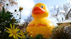 Pato gigante reaparecerá en Providencia para el Día del Niño: Conoce cuándo y dónde estará 