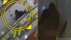 Con un inhibidor de señal en la mano: Captan millonario robo de carne en previa a Fiestas Patrias