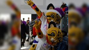 Sigue aquí al Team Chile EN VIVO en los Juegos Panamericanos Junior Asunción 2025