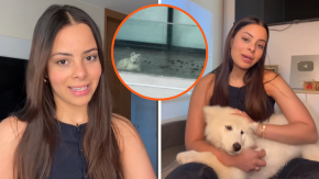 Influencer venezolana se defiende tras denuncia por maltrato a su perro: "Preocúpense de los animales que si están en malas condiciones" Influencer venezolana se defiende tras denuncia por maltrato a su perro: "Preocúpense de los animales que si están en malas condiciones"