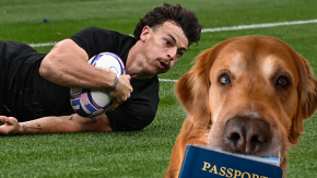 "El perro se comió mi pasaporte": mascota traviesa casi frustra viaje de jugador de los All Blacks