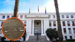 Municipalidad de Ñuñoa aprueba multas de más de $300 mil por botar colillas o no recoger heces de mascotas Municipalidad de Ñuñoa aprueba multas de más de $300 mil por botar colillas o no recoger heces de mascotas