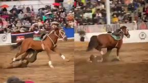 VIDEO | Carabinero sufre grave caída desde caballo y durante show frente a cientos de personas en La Reina VIDEO | Carabinero sufre grave caída desde caballo y durante show frente a cientos de personas en La Reina