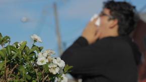 ¿Alergia o resfriado? Así puedes diferenciar los síntomas ante la pronta llegada de la primavera ¿Alergia o resfriado? Así puedes diferenciar los síntomas ante la pronta llegada de la primavera