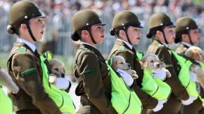 VIDEO | ¡Los más esperados! Así fue el paso de los cachorros de Carabineros en la Parada Militar 2025