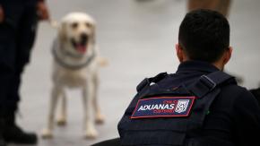 Cargamentos con 30 piernas humanas están retenidos hace un año en el Aeropuerto de Santiago