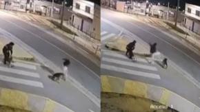 Captan brutal agresión de sujeto a perro comunitario en Villa Alemana: Municipio anunció querella en su contra Captan brutal agresión de sujeto a perro comunitario en Villa Alemana: Municipio anunció querella en su contra