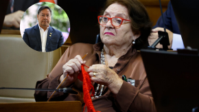 Presidente de Bolivia anuncia acciones diplomáticas tras dichos de diputada Cordero: dijo que "tienen poco oxígeno cerebral"