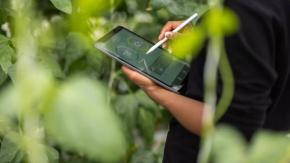 Corfo abre 1.200 becas para especializarse en sostenibilidad: revisa quiénes pueden postular y hasta cuándo Corfo abre 1.200 becas para especializarse en sostenibilidad: revisa quiénes pueden postular y hasta cuándo
