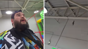 Tiktoker graba a murciélago en juegos infantiles: "Lo que más te indigna como papá es que los niños se aterran"