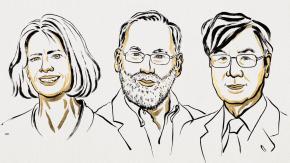 Entregan el Nobel de Medicina a tres científicos por investigación del sistema inmunitario Entregan el Nobel de Medicina a tres científicos por investigación del sistema inmunitario