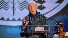 Revelan último deseo de Jane Goodall; enviar a Trump, Musk, Putin, Xi y Netanyahu al espacio: "Hay gente que no me gusta" Revelan último deseo de Jane Goodall; enviar a Trump, Musk, Putin, Xi y Netanyahu al espacio: "Hay gente que no me gusta"