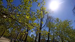 Ya se siente la primavera: ¿Cómo prevenir y enfrentar las alergias? Ya se siente la primavera: ¿Cómo prevenir y enfrentar las alergias?