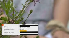 La respuesta que el Registro Civil le dio a madre que comunicó que su hijo estaba inscrito como niña La respuesta que el Registro Civil le dio a madre que comunicó que su hijo estaba inscrito como niña
