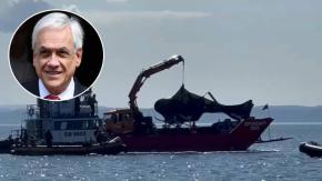 "Pérdida de visión" y "desorientación espacial": Informe final confirma causa del accidente que provocó muerte de Sebastián Piñera "Pérdida de visión" y "desorientación espacial": Informe final confirma causa del accidente que provocó muerte de Sebastián Piñera
