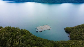 Golpe a la Superintendencia Ambiental: Tribunal declara ilegal medidas que paralizaron a salmonera canadiense Golpe a la Superintendencia Ambiental: Tribunal declara ilegal medidas que paralizaron a salmonera canadiense