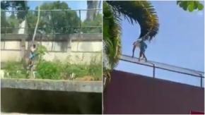 VIDEO | Hombre murió tras ser atacado por leona dentro de su jaula en zoológico de Brasil VIDEO | Hombre murió tras ser atacado por leona dentro de su jaula en zoológico de Brasil