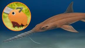¿Pochita es chileno?: Paleontólogos chilenos nombran fósil de tiburón en honor a popular animé "Chainsaw Man"