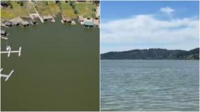 Alerta en lago Vichuquén por "bacteria asesina": han fallecido 9 mascotas