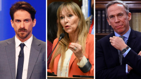 Elecciones 2025: El listado completo de diputados que fueron reelectos, distrito por distrito