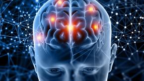 El cerebro no sólo piensa, también quema grasa El cerebro no sólo piensa, también quema grasa