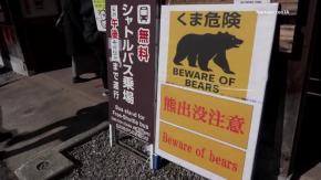 Japón utiliza drones que ‘ladran’ para ahuyentar a los osos ante el aumento de ataques Japón utiliza drones que ‘ladran’ para ahuyentar a los osos ante el aumento de ataques