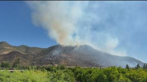 Decretan prisión preventiva para detenido por incendio forestal en Pichidegua