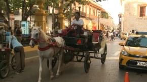 Colombia prohíbe carruajes con caballos en turística Cartagena