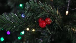 "Los niños son especialmente vulnerables": Estos son los accidentes más comunes en Navidad 