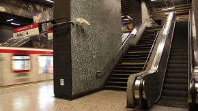 Influenza A H3N2 en Chile: ¿Podrían volver las cuarentenas con la llegada de la "supergripe" a nuestro país?