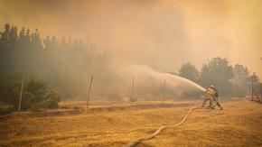 Fiscalía inicia investigación por origen de incendio forestal en el Maule