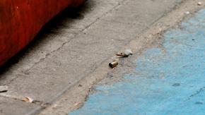 Desconocido intervino en intento de robo afuera de un banco en La Cisterna: disparó y mató a delincuente