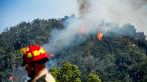 Conaf advierte sobre incendios forestales en verano: “La proyección es compleja”