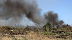 Senapred ordena evacuar sectores de Linares por incendio forestal: se activó mensajería SAE