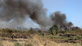 Senapred ordena evacuar sectores de Linares por incendio forestal: se activó mensajería SAE