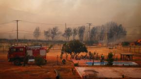Senapred orden evacuar zona de comuna de Maule por incendio forestal