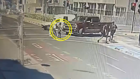 VIDEO | Gerenta de Corporación Desarrolla Biobío formalizada tras atropellar a mujer y huir: víctima está en estado crítico