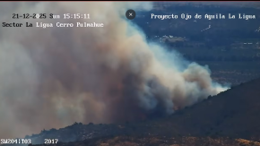 Senapred solicitó evacuar sector en Zapallar por incendio forestal en la zona: Se activó alerta SAE