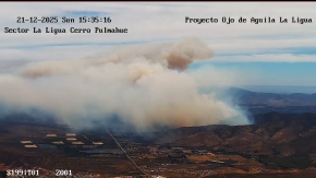 Senapred solicitó evacuar sector en Zapallar por incendio forestal en la zona: Se activó alerta SAE