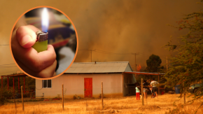 Incendio en Pichidegua fue provocado por niños que jugaban con un encendedor: "Son inimputables por el hecho ocurrido”