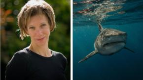 Encuentran restos de triatleta desaparecida en EE.UU: fue mutilada por un tiburón en playas de California