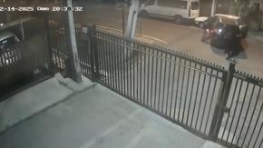 Delincuentes roban auto en Cerrillos y se llevan las mascotas