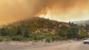 Evacúan sectores en la región de O’Higgins por incendio forestal: activaron mensajería SAE