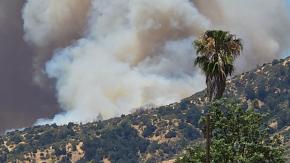 Decretan Alerta Roja para Pichidegua por incendio forestal
