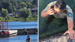 Carabinero se lanzó al Lago Villarrica para detener a prófugo que huyó nadando