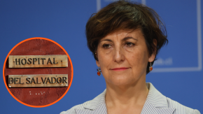 Diputados interpelan al Minsal tras acusación de atención prioritaria a la madre de la ministra Aguilera