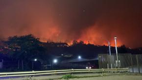 Alcalde de Penco reporta fallecidos por incendios forestales: "Vamos a salir adelante con o sin la ayuda del gobierno"