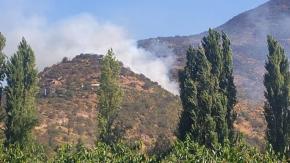 Incendio forestal se desarrolla en ladera de cerro en Paine